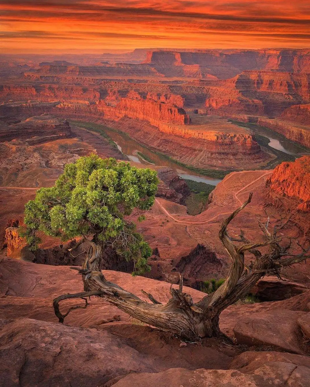 Dead Horse Point State Park in Utah