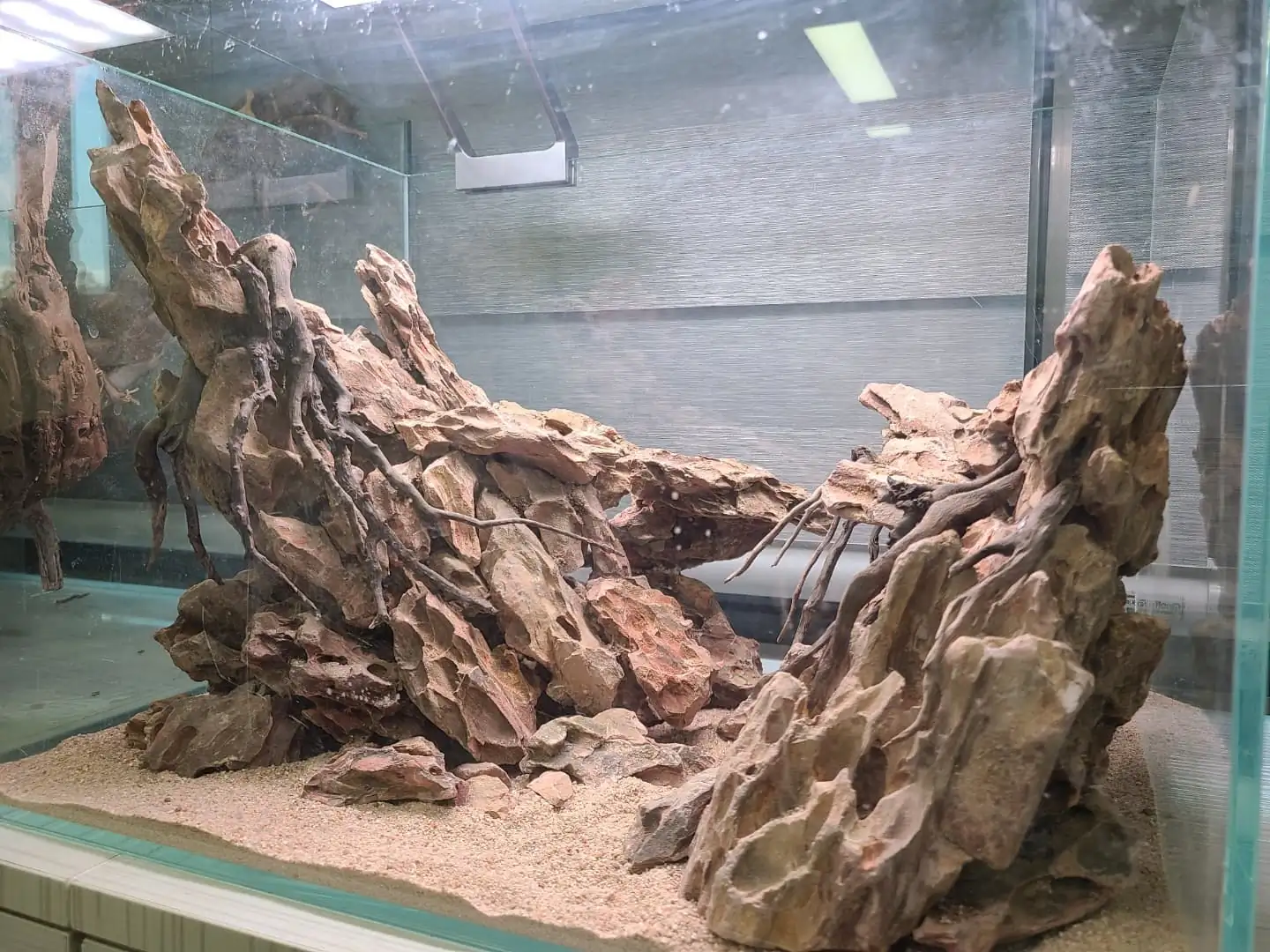 Creative hardscape ideas with Dragon Stone (Ohko stone) by HyoungJoo Jeon