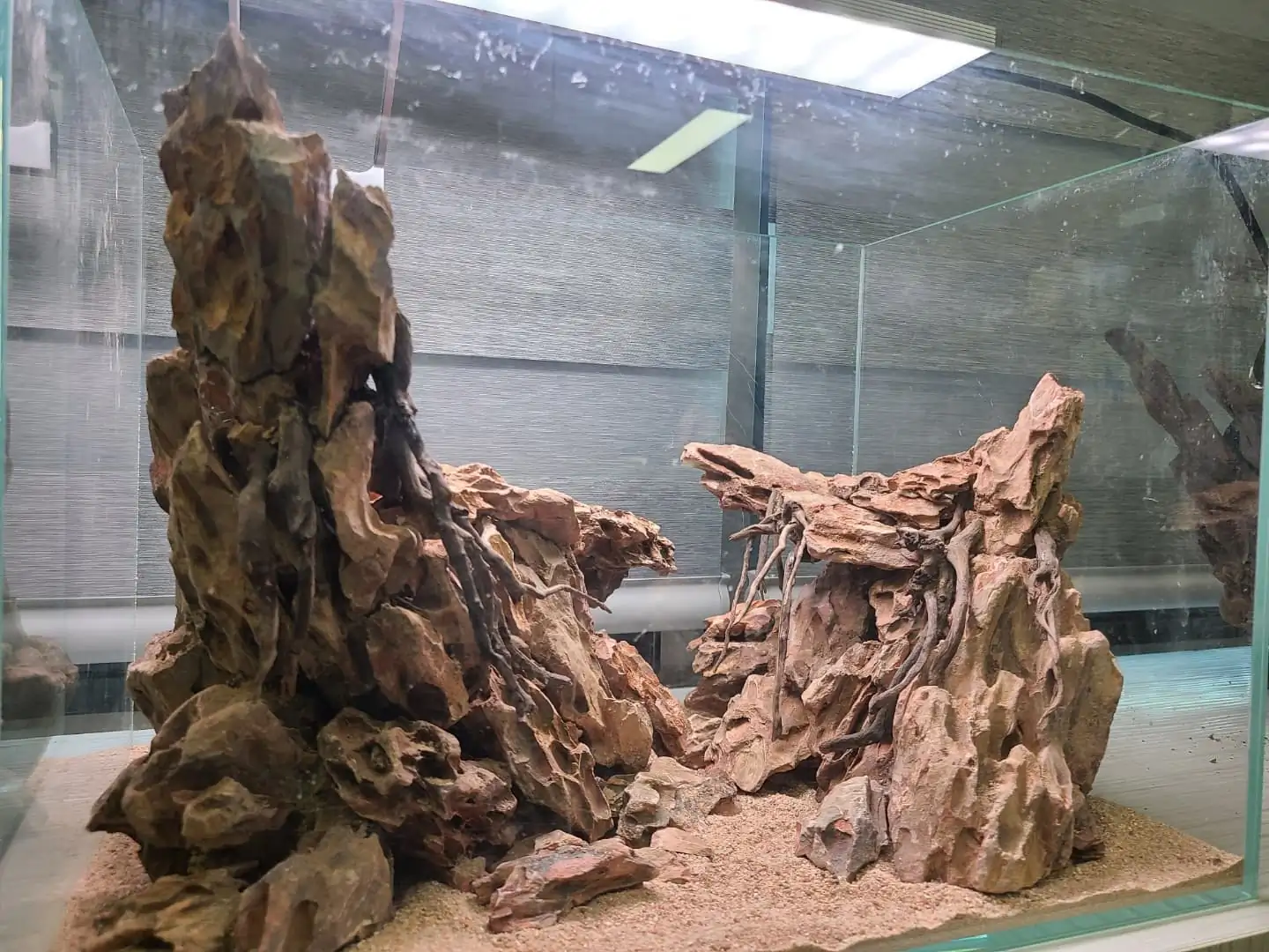 Creative hardscape ideas with Dragon Stone (Ohko stone) by HyoungJoo Jeon