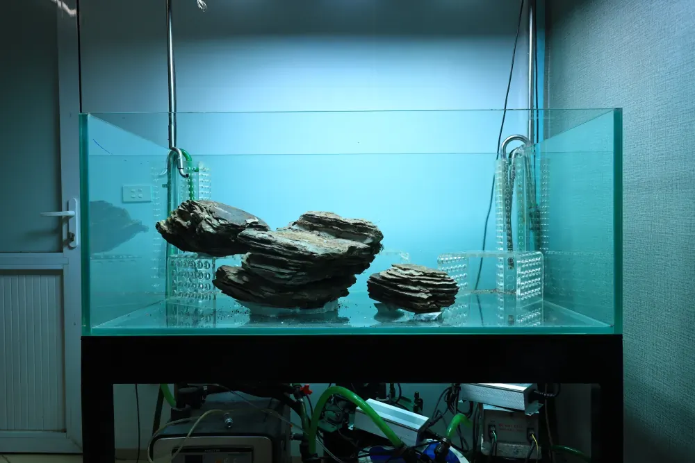 Hardscape: The Solution to an Old Puzzle