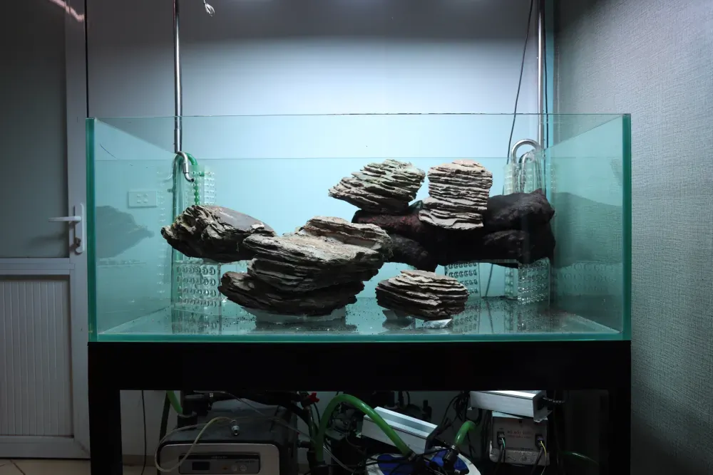 Hardscape: The Solution to an Old Puzzle