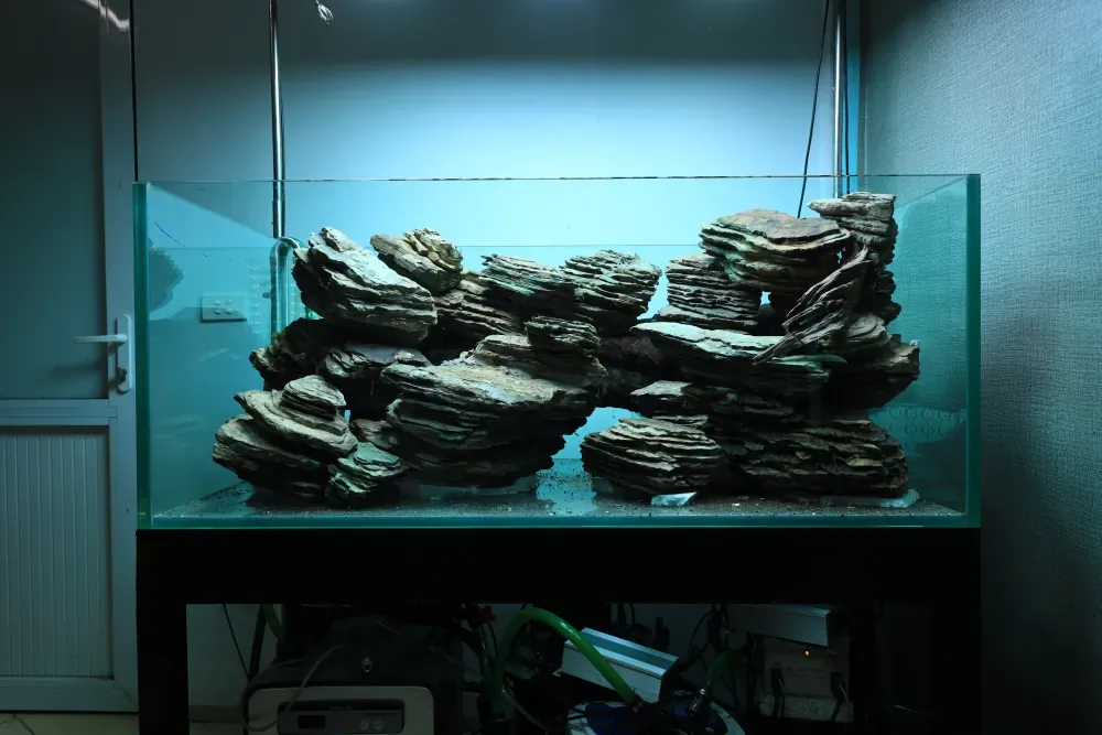 Hardscape: The Solution to an Old Puzzle