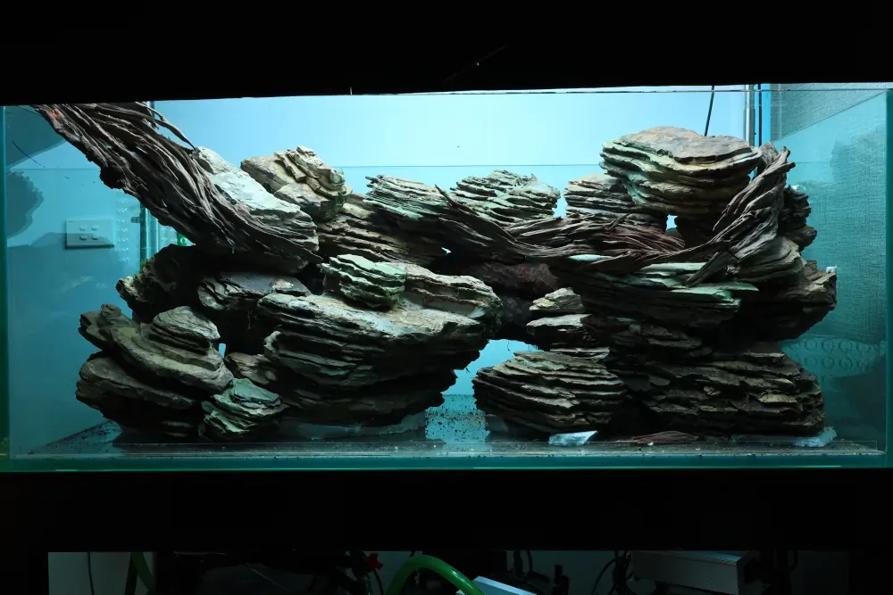 Hardscape: The Solution to an Old Puzzle