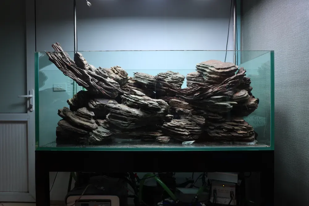 Hardscape: The Solution to an Old Puzzle