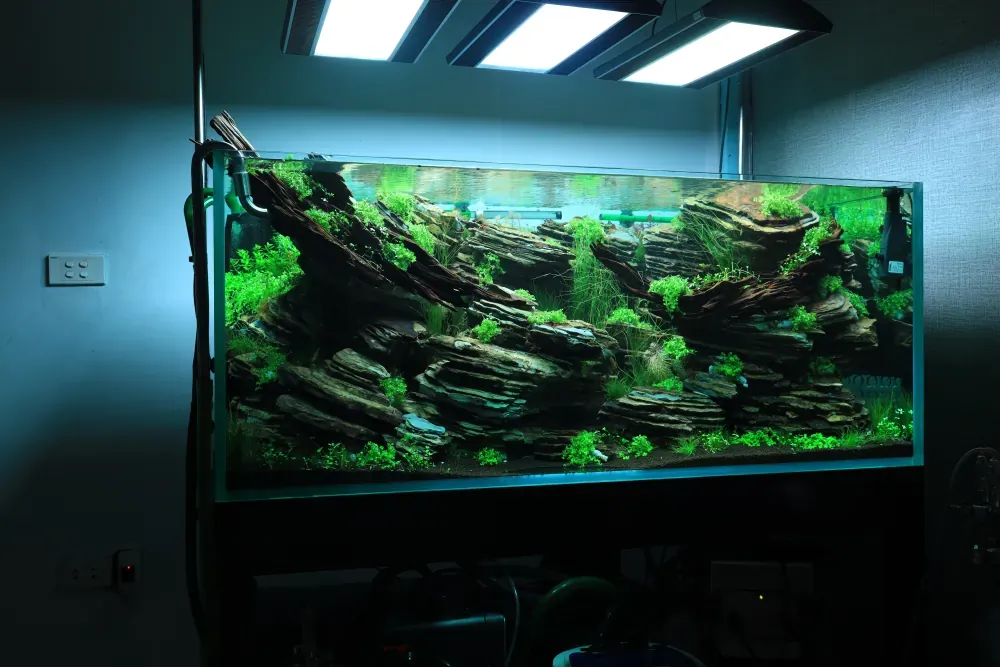 Maintenance and Welcoming New Inhabitants