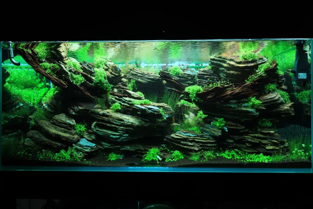 Maintenance and Welcoming New Inhabitants