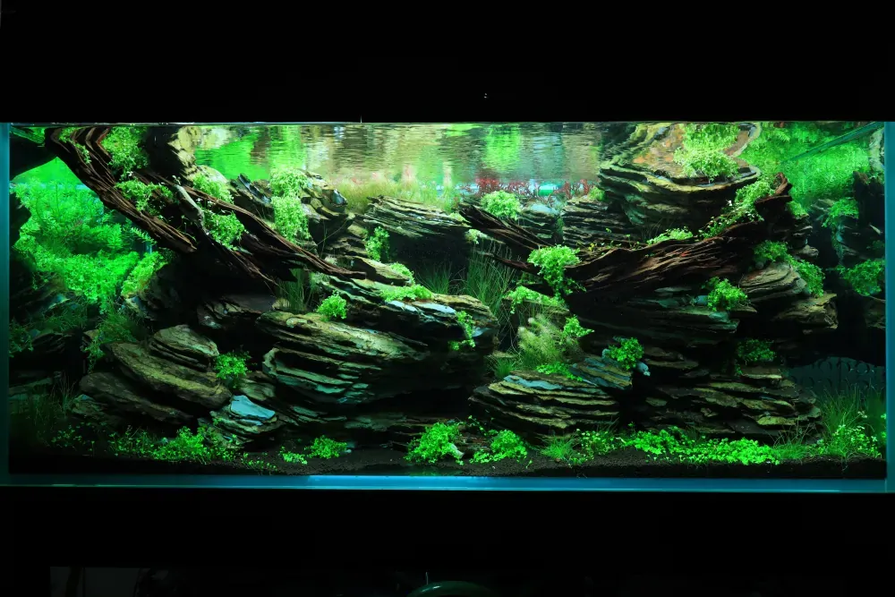 Maintenance and Welcoming New Inhabitants