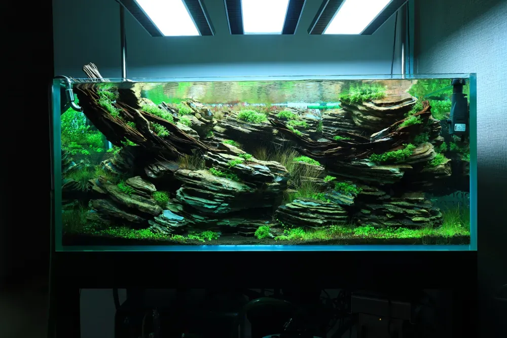 Maintenance and Welcoming New Inhabitants