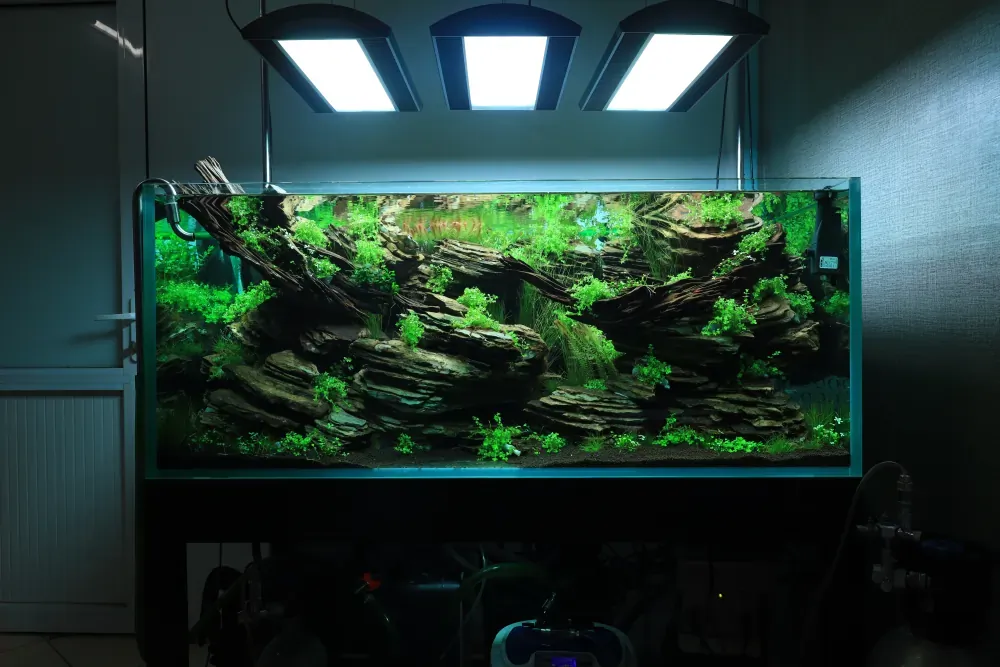 Maintenance and Welcoming New Inhabitants