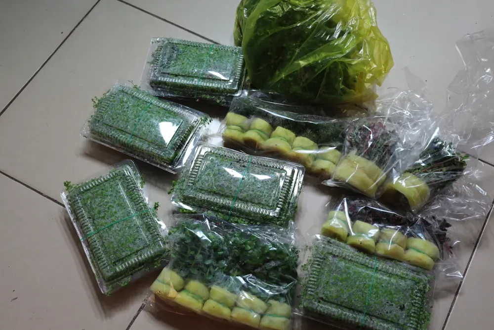 Planting: Mending an Unfinished Picture