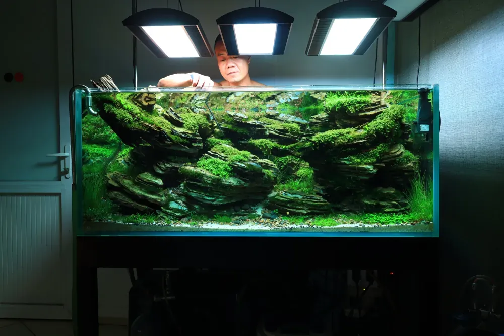 Planting: Mending an Unfinished Picture