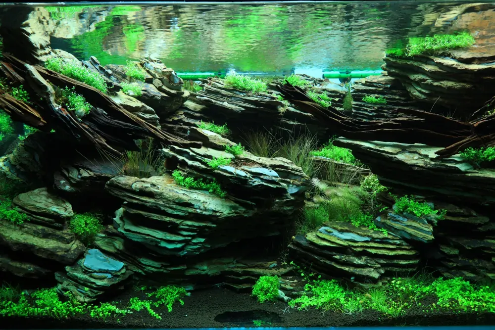 Planting: Mending an Unfinished Picture