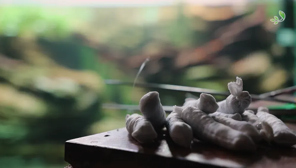 Planting: Mending an Unfinished Picture