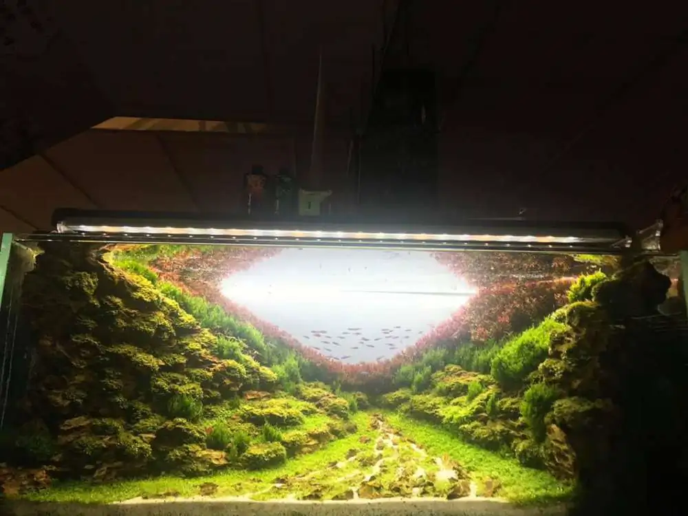 "Step