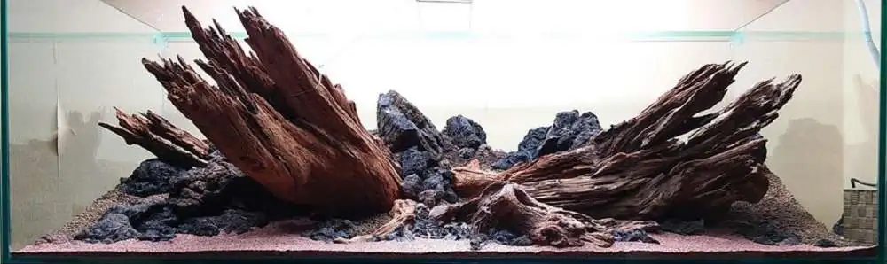 Step by step progression IAPLC 2018 Rank 20 - Faith