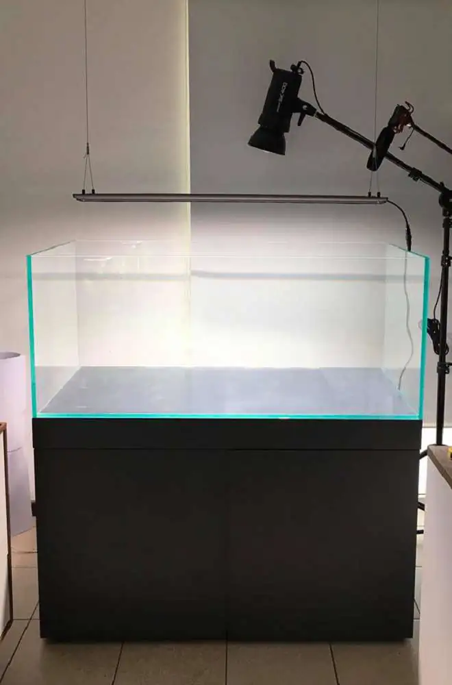 Step by step progression IAPLC 2018 Rank 88 - Delirium 