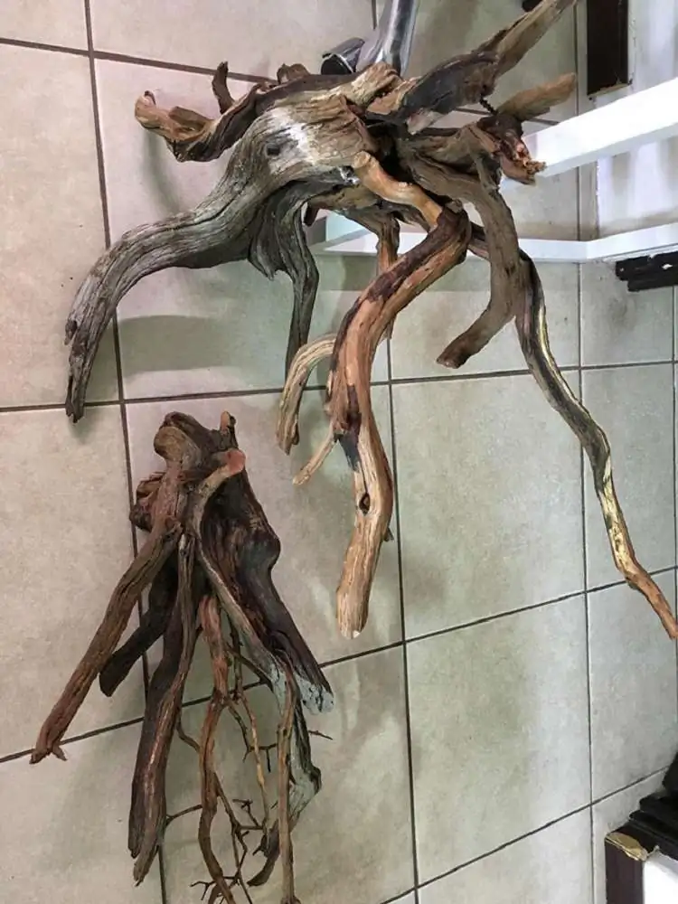 Step by step progression IAPLC 2018 Rank 88 - Delirium 