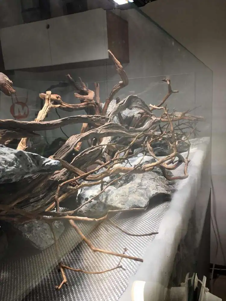 Step by step progression IAPLC 2018 Rank 88 - Delirium 