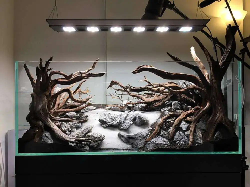 Step by step progression IAPLC 2018 Rank 88 - Delirium 