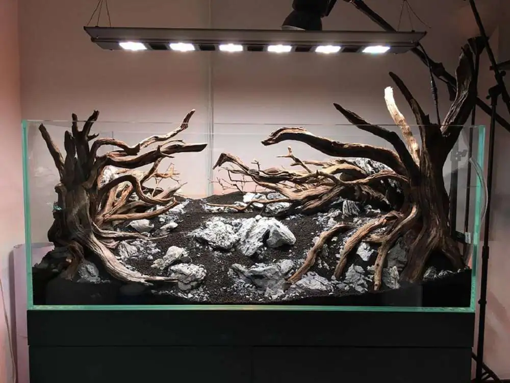 Step by step progression IAPLC 2018 Rank 88 - Delirium 