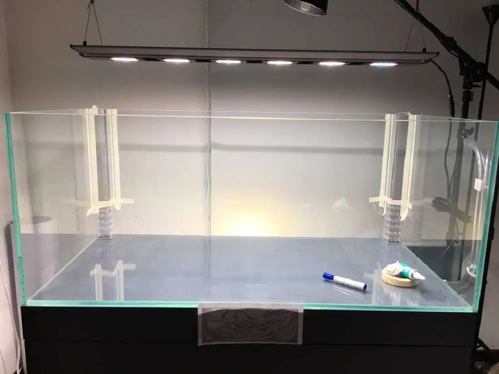 Step by step progression IAPLC 2018 Rank 88 - Delirium 