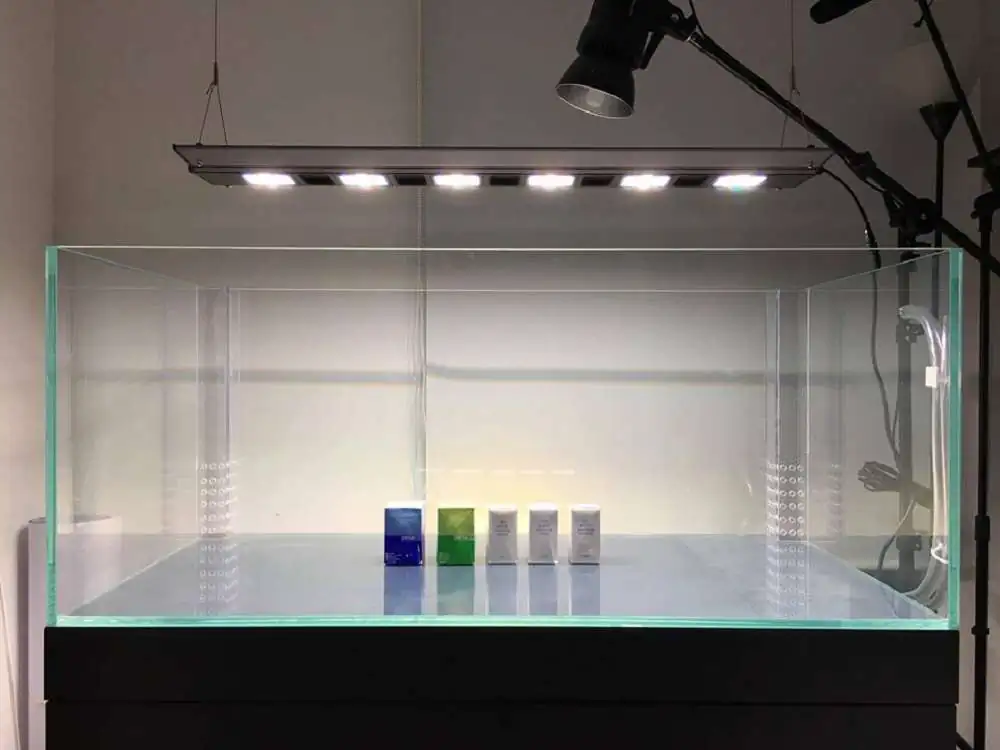 Step by step progression IAPLC 2018 Rank 88 - Delirium 