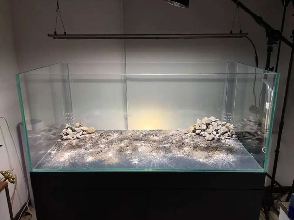 Step by step progression IAPLC 2018 Rank 88 - Delirium 