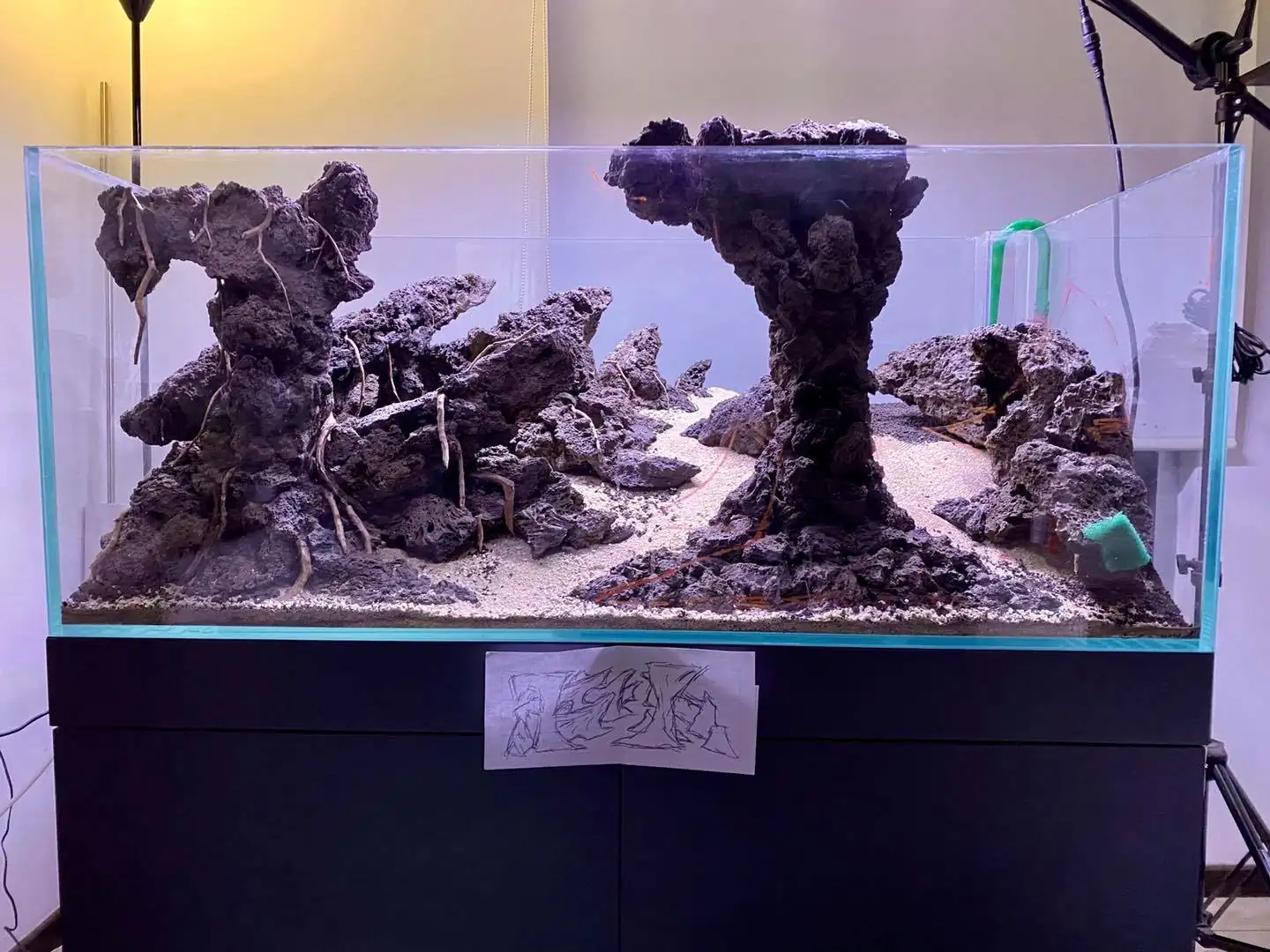 How to make nature aquarium - IAPLC 2021 Rank 120 - Imaginarium