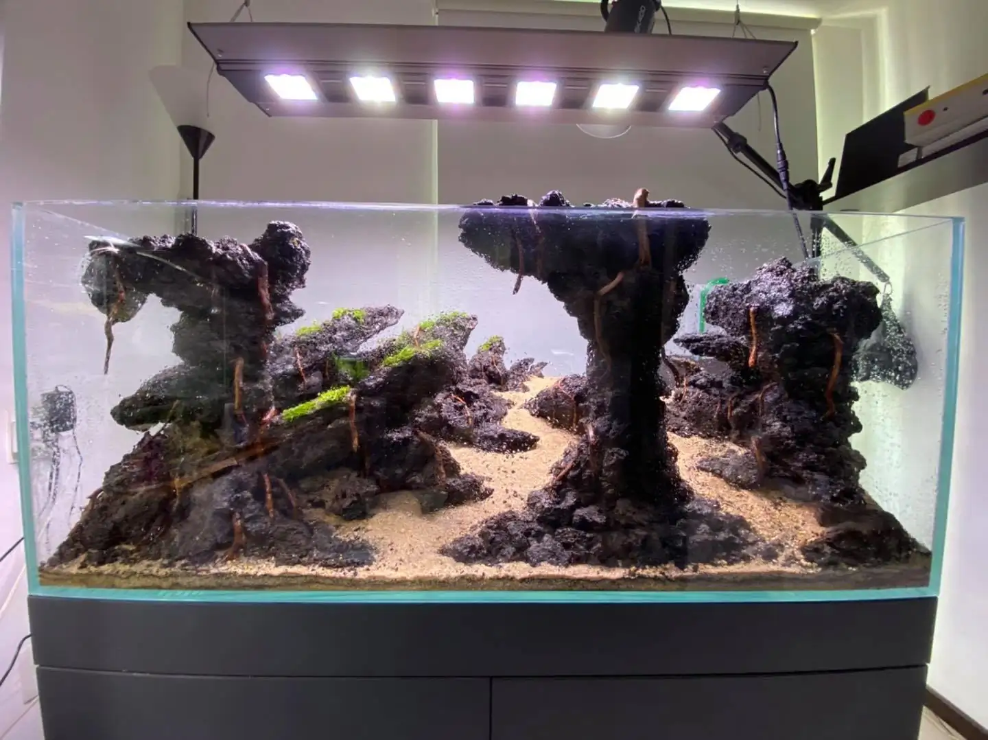 How to make nature aquarium - IAPLC 2021 Rank 120 - Imaginarium