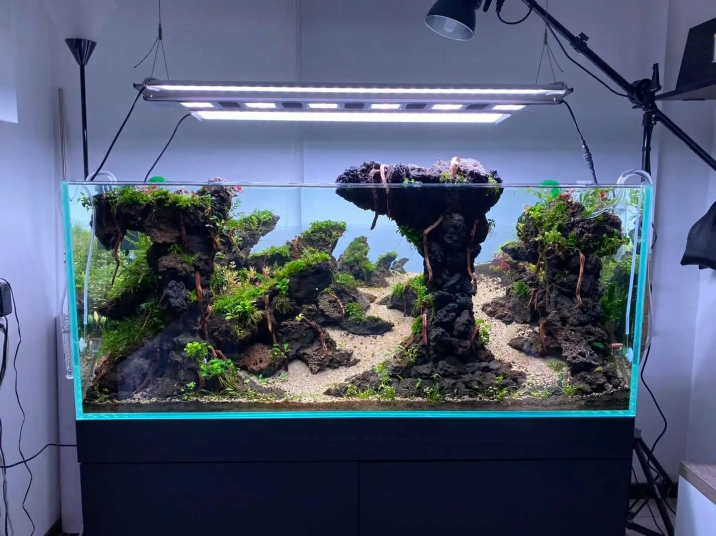 How to make nature aquarium - IAPLC 2021 Rank 120 - Imaginarium