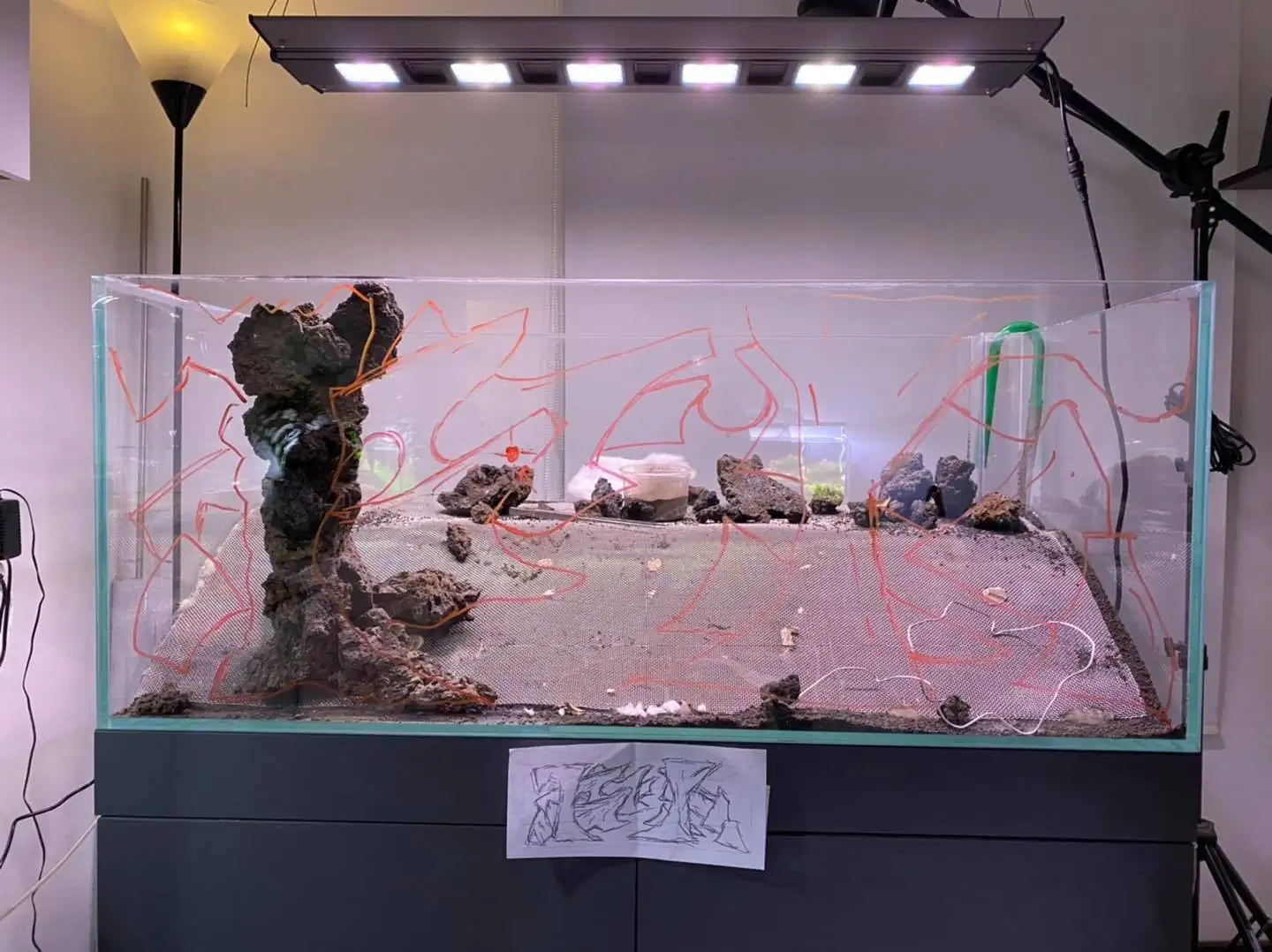How to make nature aquarium - IAPLC 2021 Rank 120 - Imaginarium
