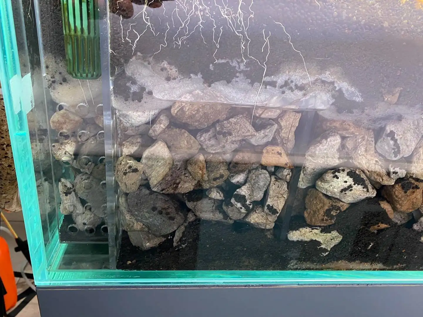 How to make nature aquarium - IAPLC 2021 Rank 120 - Imaginarium