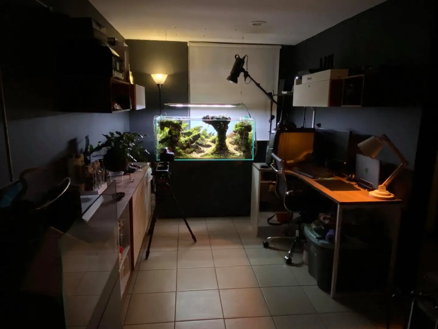 How to make nature aquarium - IAPLC 2021 Rank 120 - Imaginarium