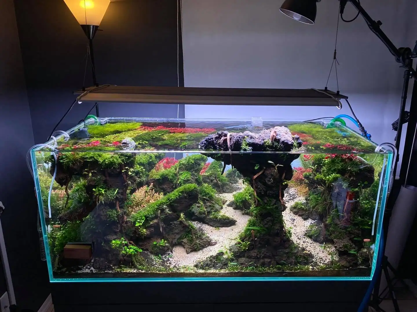 How to make nature aquarium - IAPLC 2021 Rank 120 - Imaginarium