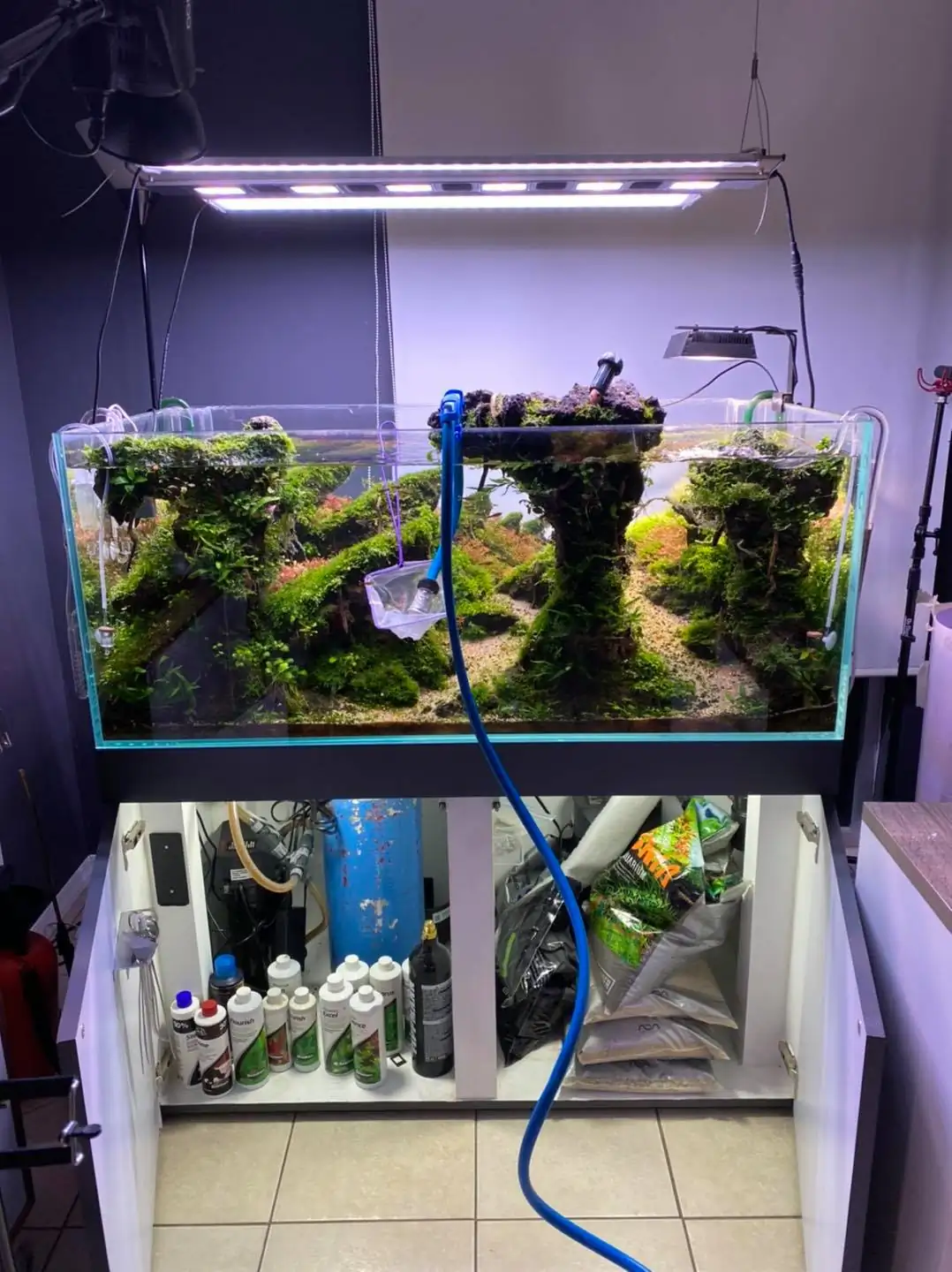 How to make nature aquarium - IAPLC 2021 Rank 120 - Imaginarium