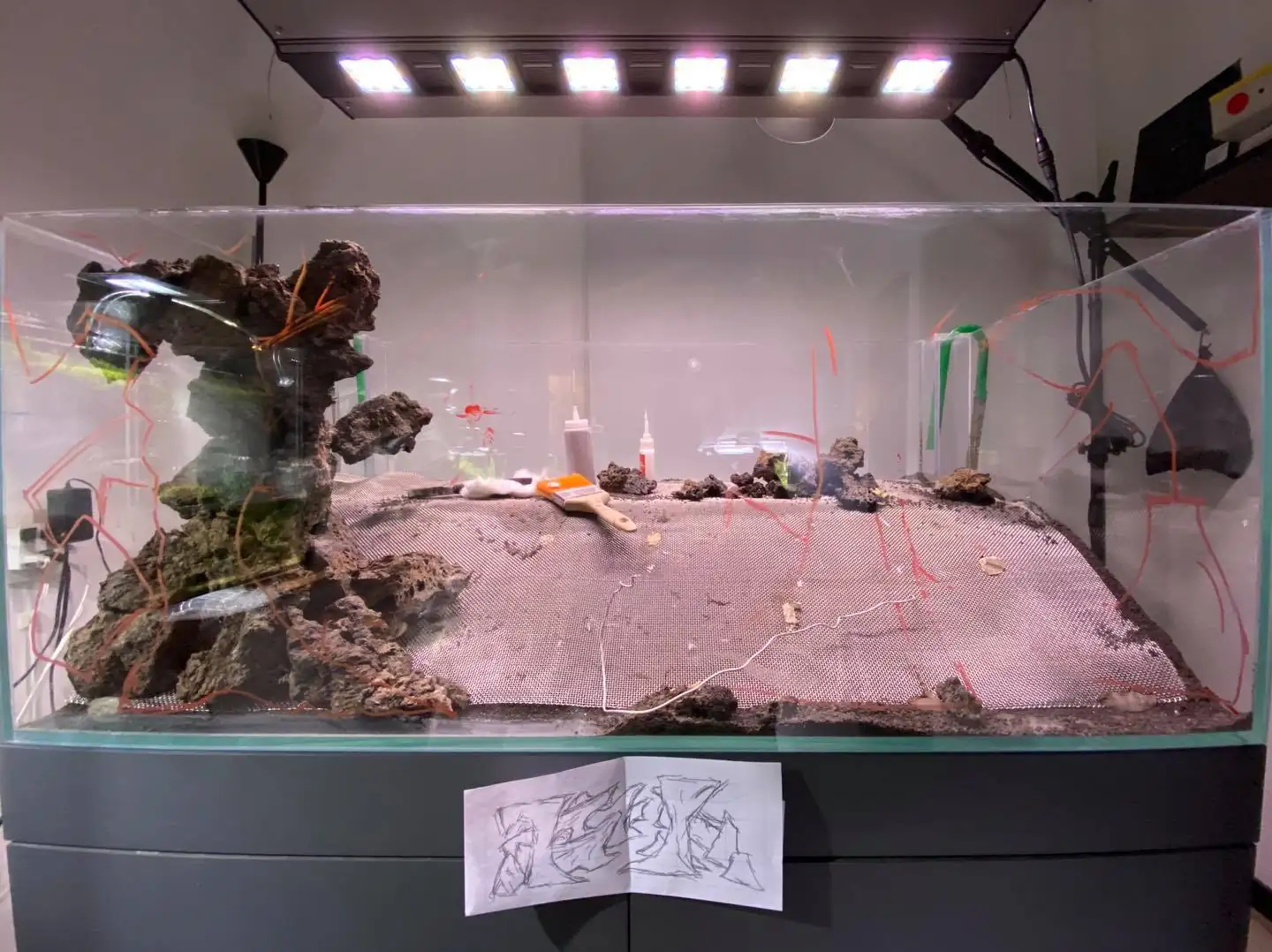 How to make nature aquarium - IAPLC 2021 Rank 120 - Imaginarium