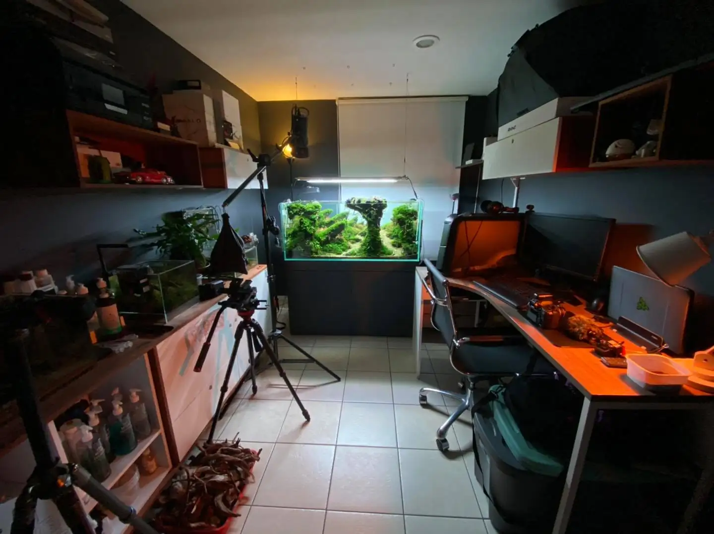 How to make nature aquarium - IAPLC 2021 Rank 120 - Imaginarium