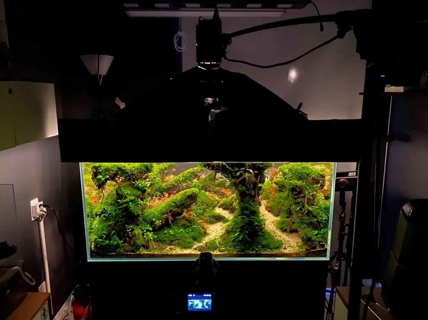 How to make nature aquarium - IAPLC 2021 Rank 120 - Imaginarium