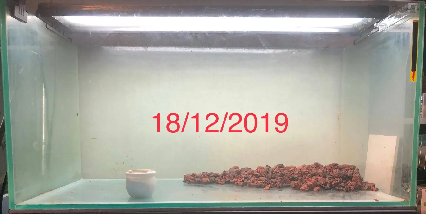 Step by step progression IAPLC 2020 Rank 135 - Living to nature