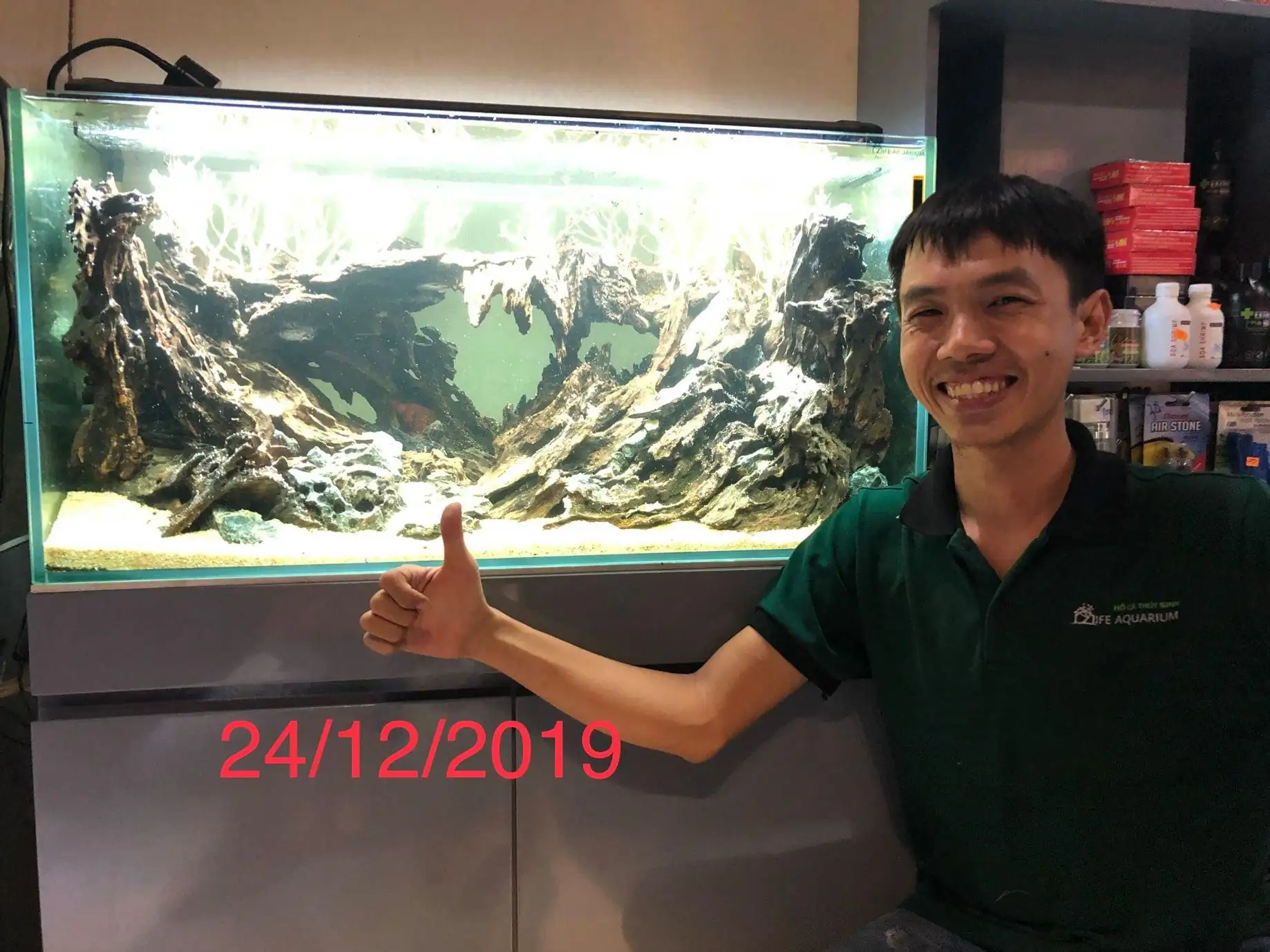 Step by step progression IAPLC 2020 Rank 135 - Living to nature