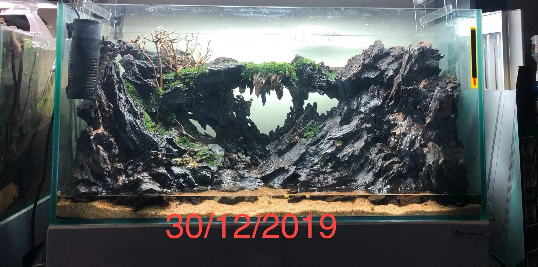 Step by step progression IAPLC 2020 Rank 135 - Living to nature