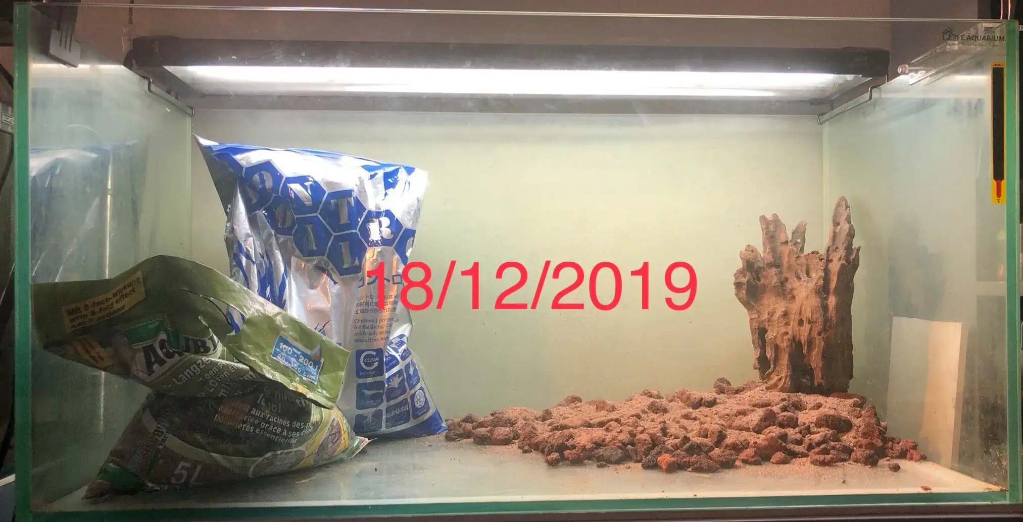 Step by step progression IAPLC 2020 Rank 135 - Living to nature