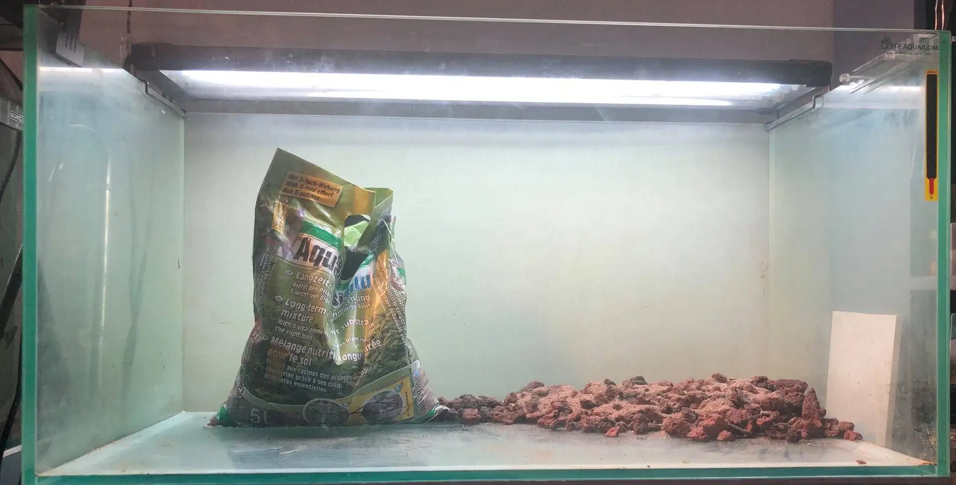 Step by step progression IAPLC 2020 Rank 135 - Living to nature