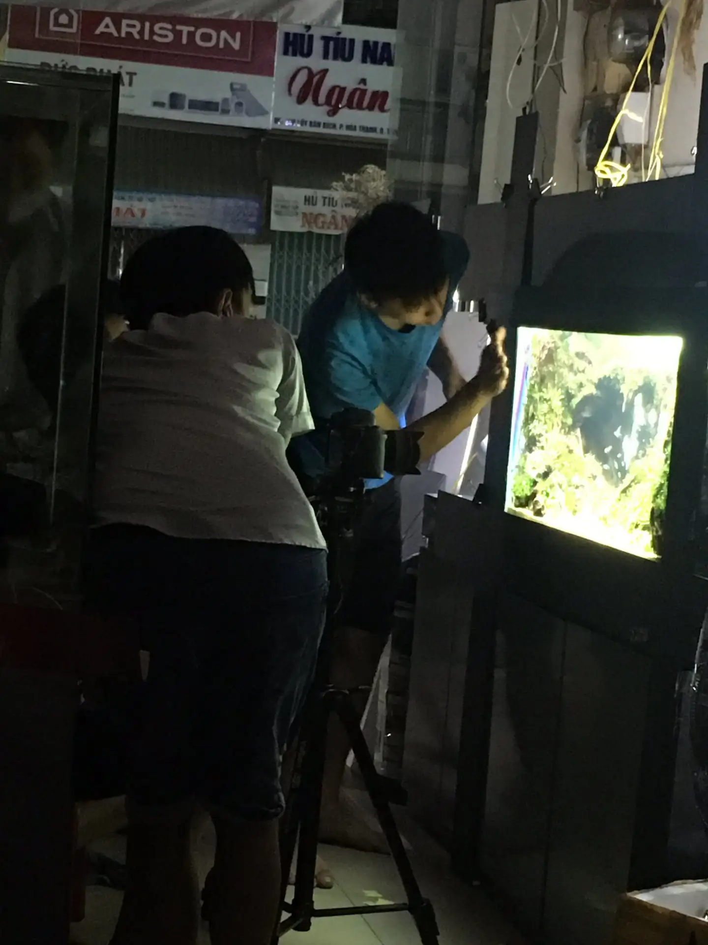 Step by step progression IAPLC 2020 Rank 135 - Living to nature