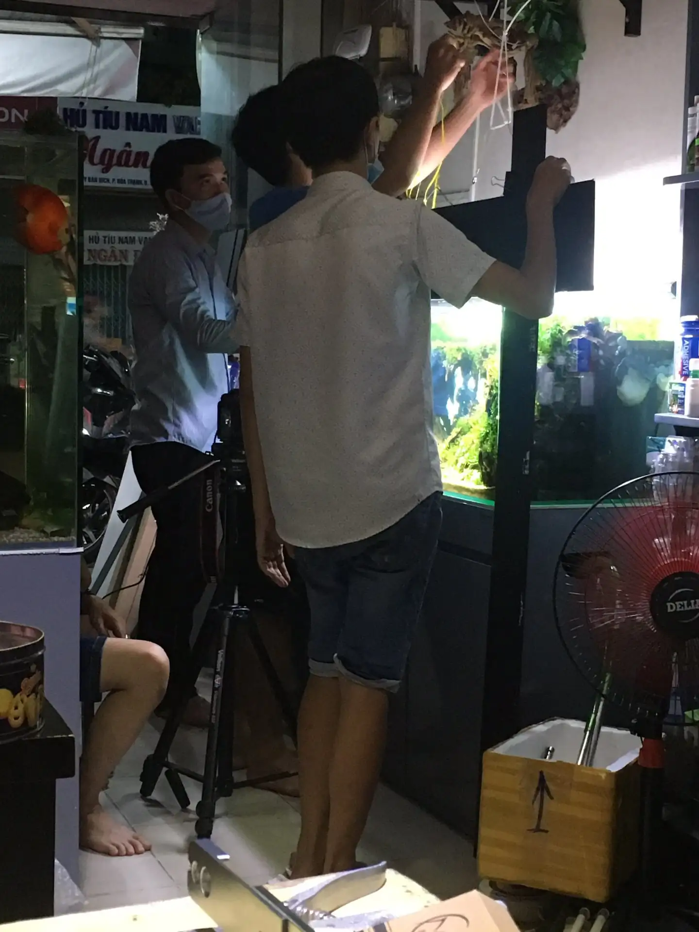 Step by step progression IAPLC 2020 Rank 135 - Living to nature