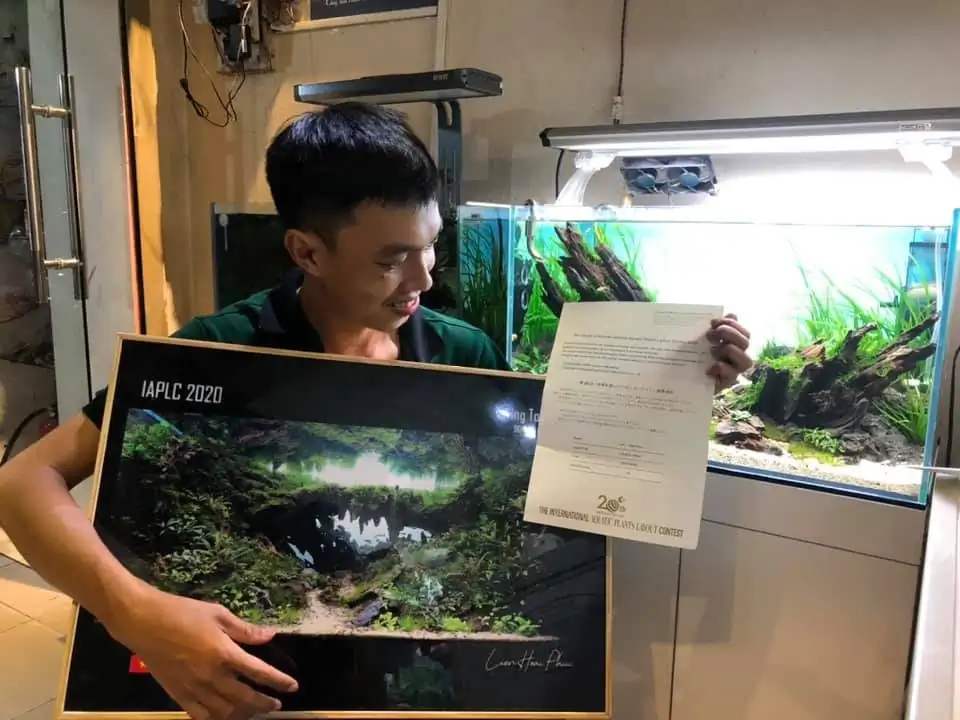 Step by step progression IAPLC 2020 Rank 135 - Living to nature