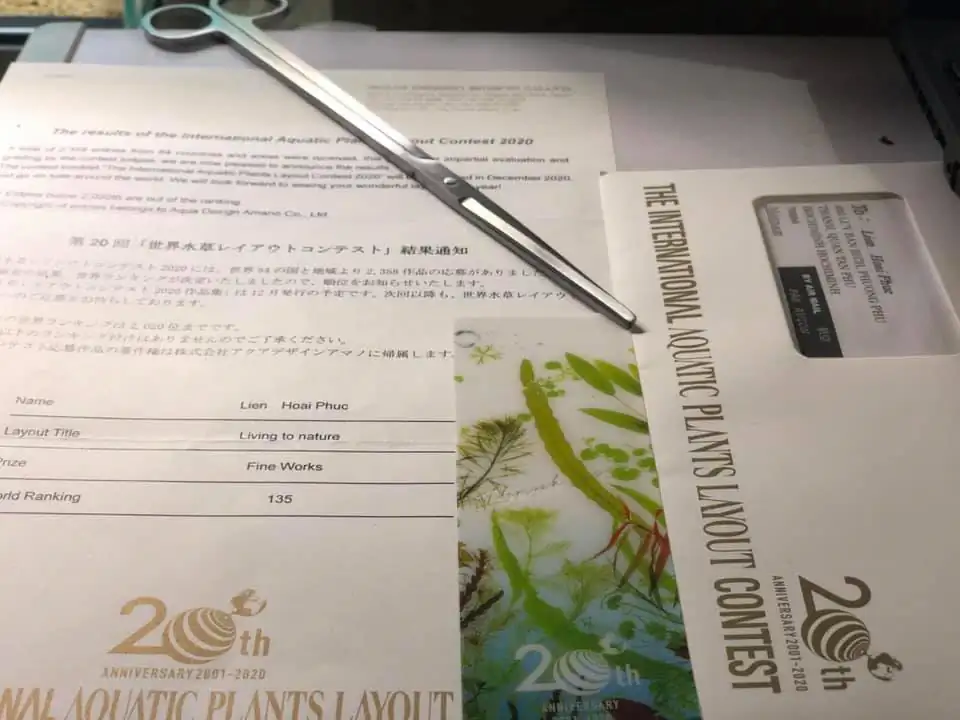 Step by step progression IAPLC 2020 Rank 135 - Living to nature