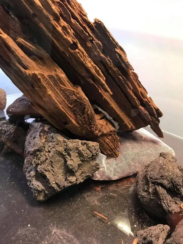 How to make nature aquarium - IAPLC 2020 Rank 163 - Nature Wing