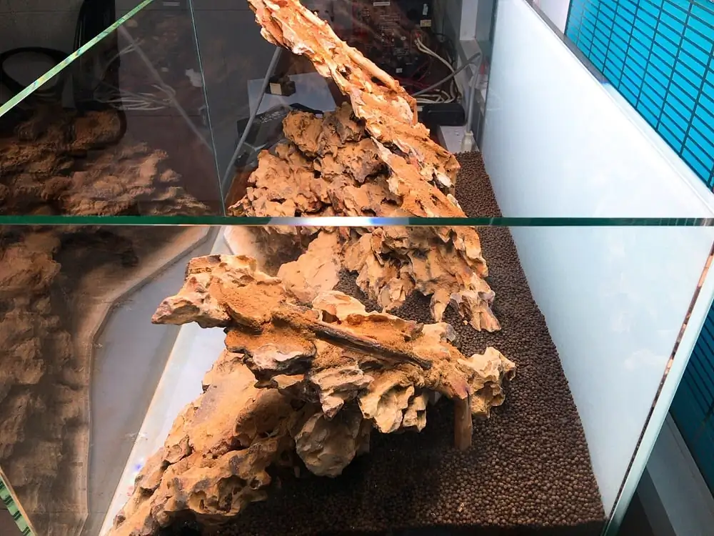 How to make nature aquarium - IAPLC 2020 Rank 228 - Into the Sky How to make nature aquarium - IAPLC 2020 Rank 228 - Into the Sky