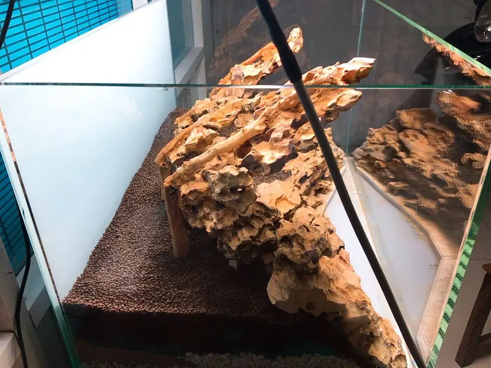 How to make nature aquarium - IAPLC 2020 Rank 228 - Into the Sky How to make nature aquarium - IAPLC 2020 Rank 228 - Into the Sky